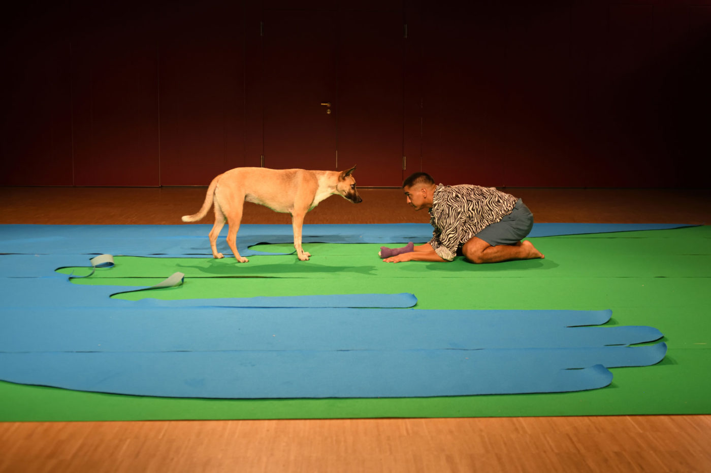La sol de la salle est recouvert de tapis bleu ciel et vert pomme. L'artiste Elvio Avila se tient accroupi en face de son chien. Les deux se regardent.